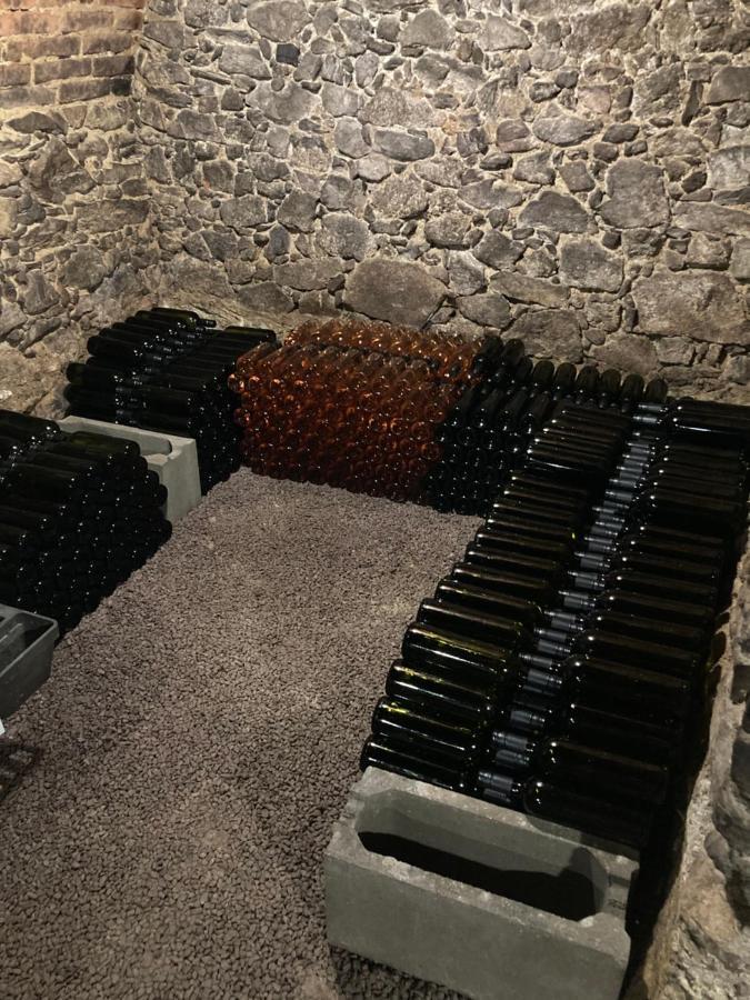 Ubytovani Smudla Znojmo Eksteriør bilde