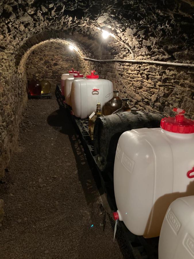 Ubytovani Smudla Znojmo Eksteriør bilde